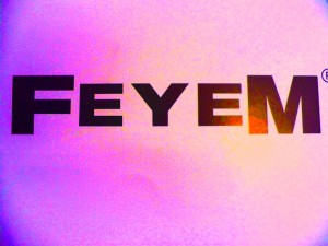 Logo Feyem 1